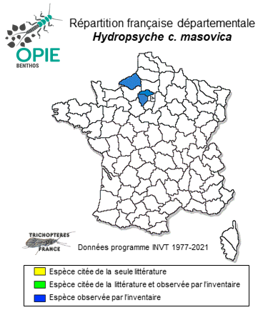 Carte de distribution de Hydropsyche contubernalis masovica Malicky, 1977
