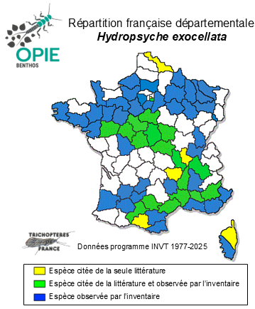 Carte de distribution de Hydropsyche exocellata Dufour, 1841