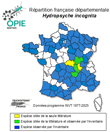 Carte de distribution de Hydropsyche incognita Pitsch, 1993