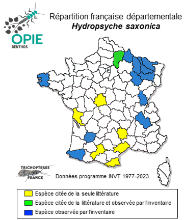 Carte de distribution de Hydropsyche saxonica MacLachlan, 1884