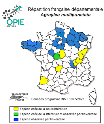Carte de distribution de Agraylea multipunctata Curtis, 1834