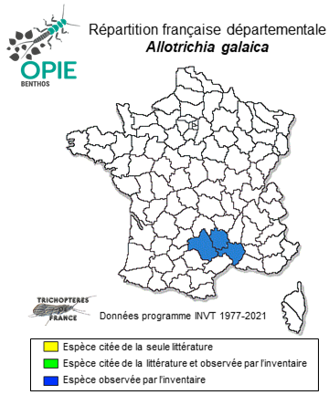 Carte de distribution de Allotrichia galaica González & Malicky, 1980