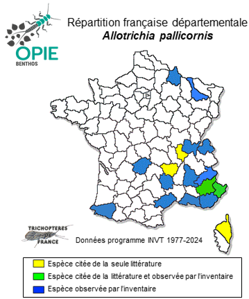 Carte de distribution de Allotrichia pallicornis (Eaton, 1873)