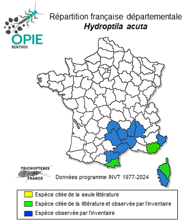 Carte de distribution de Hydroptila acuta Mosely, 1930