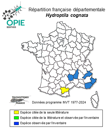 Carte de distribution de Hydroptila cognata Mosely, 1930