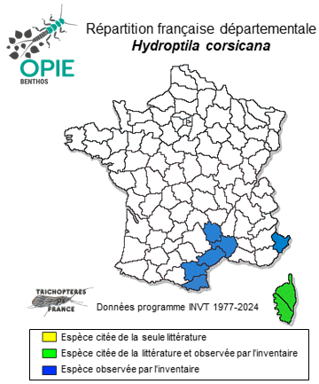 Carte de distribution de Hydroptila corsicana Mosely, 1930