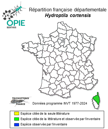 Carte de distribution de Hydroptila cortensis Mosely, 1937