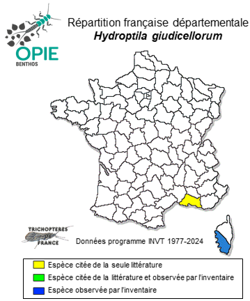 Carte de distribution de Hydroptila giudicellorum Botosaneanu, 1980
