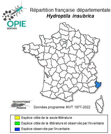 Carte de distribution de Hydroptila insubrica Ris, 1903