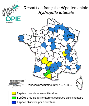Carte de distribution de Hydroptila lotensis Mosely, 1930