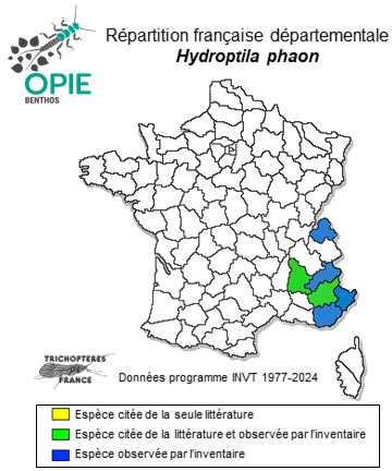 Carte de distribution de Hydroptila phaon Malicky, 1976