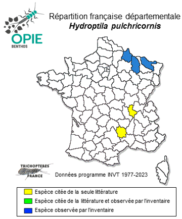 Carte de distribution de Hydroptila pulchricornis Pictet, 1834