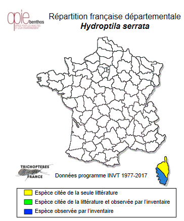 Carte de distribution de Hydroptila serrata Morton, 1898