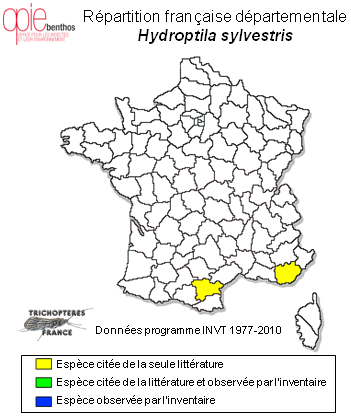 Carte de distribution de Hydroptila sylvestris Morton, 1898