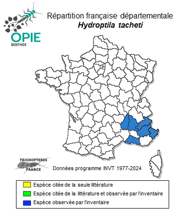 Carte de distribution de Hydroptila tacheti Coppa & Malicky, 2005