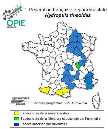 Carte de distribution de Hydroptila tineoides Dalman, 1819