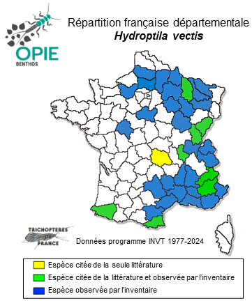 Carte de distribution de Hydroptila vectis Curtis, 1834