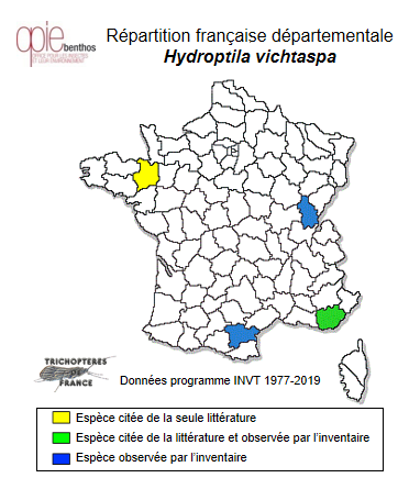 Carte de distribution de Hydroptila vichtaspa Schmid, 1959