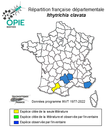 Carte de distribution de Ithytrichia clavata Morton, 1905