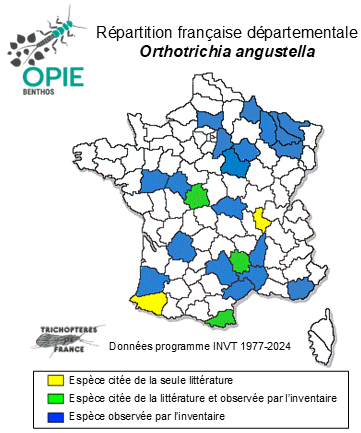 Carte de distribution de Orthotrichia angustella (MacLachlan, 1865)