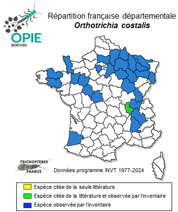 Carte de distribution de Orthotrichia costalis (Curtis, 1834)