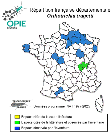 Carte de distribution de Orthotrichia tragetti Mosely, 1930
