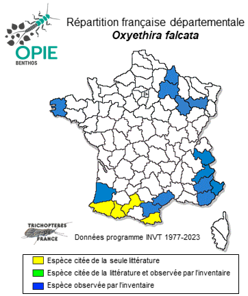 Carte de distribution de Oxyethira  falcata Morton, 1893