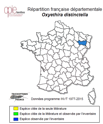 Carte de distribution de Oxyethira distinctella MacLachlan, 1880