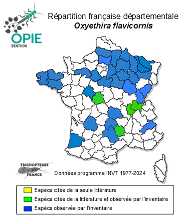 Carte de distribution de Oxyethira flavicornis (Pictet, 1834)