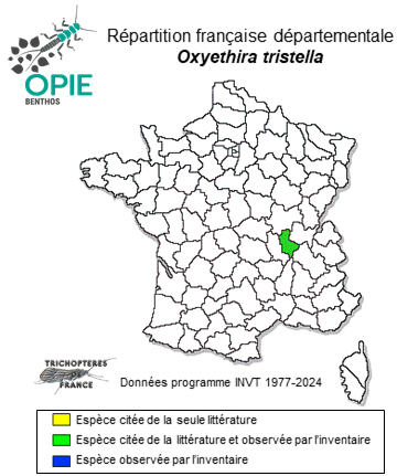 Carte de distribution de Oxyethira tristella Klapálek, 1895