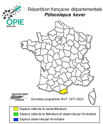 Carte de distribution de Ptilocolepus kover Oláh & Vinçon, 2023