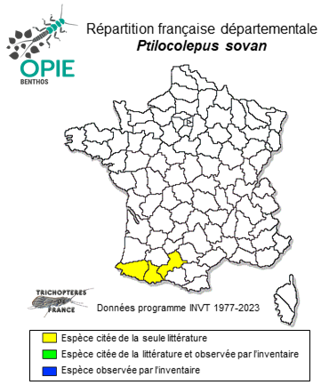 Carte de distribution de Ptilocolepus sovan Oláh & Vinçon, 2023