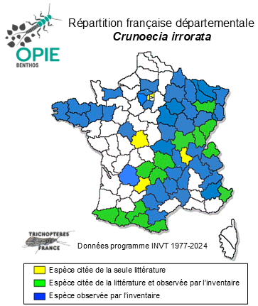 Carte de distribution de Crunoecia irrorata (Curtis, 1834)