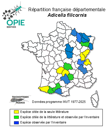 Carte de distribution de Adicella filicornis (Pictet, 1834)