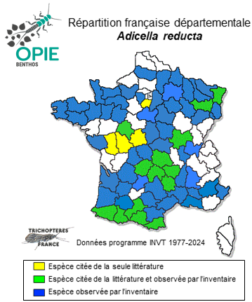 Carte de distribution de Adicella reducta (MacLachlan, 1865)