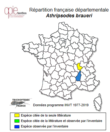 Carte de distribution de Athripsodes braueri (Pictet, 1865)
