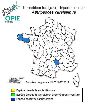 Carte de distribution de Athripsodes curvispinus Coppa & González, 2022