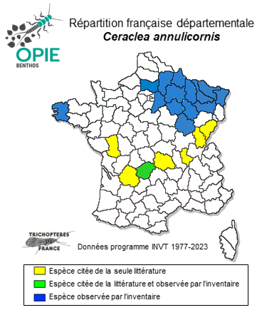 Carte de distribution de Ceraclea annulicornis (Stephens, 1836)