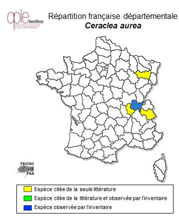 Carte de distribution de Ceraclea aurea (Pictet, 1834)