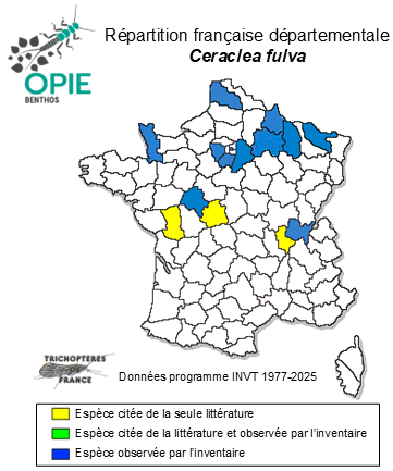Carte de distribution de Ceraclea fulva (Rambur, 1842)