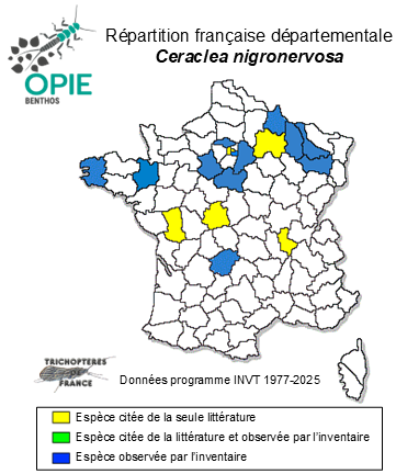 Carte de distribution de Ceraclea nigronervosa (Retzius, 1783)
