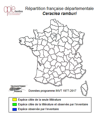 Carte de distribution de Ceraclea ramburi Morse, 1975