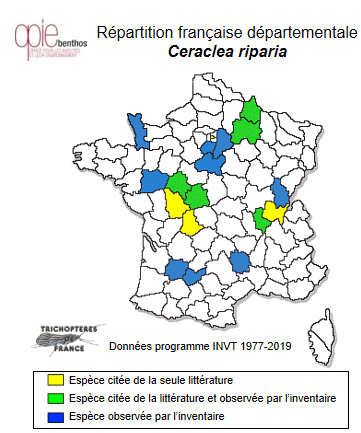 Carte de distribution de Ceraclea riparia (Albarda, 1874)