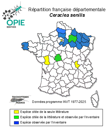 Carte de distribution de Ceraclea senilis Burmeister, 1839