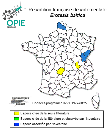 Carte de distribution de Erotesis baltica MacLachlan, 1877