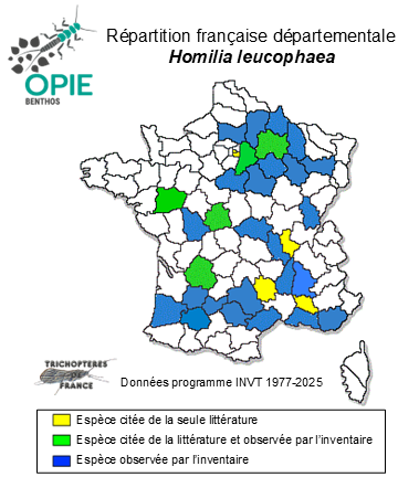 Carte de distribution de Homilia leucophaea (Rambur, 1842)