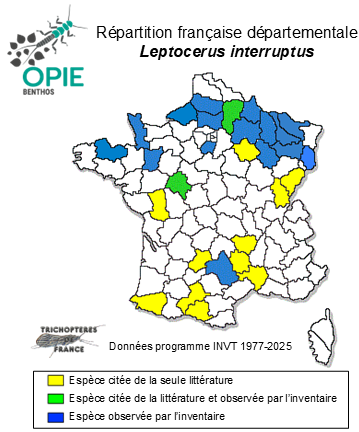 Carte de distribution de Leptocerus interruptus (Fabricius, 1775)