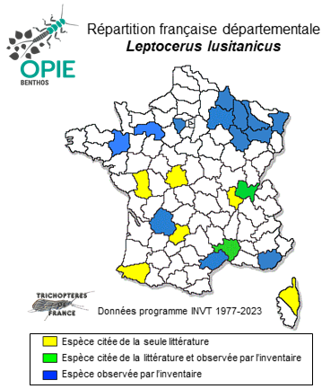Carte de distribution de Leptocerus lusitanicus (MacLachlan, 1884)