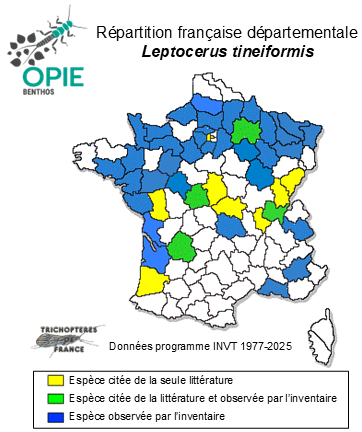 Carte de distribution de Leptocerus tineiformis Curtis, 1834