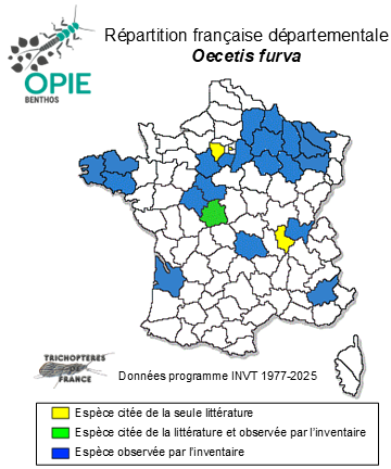 Carte de distribution de Oecetis furva (Rambur, 1842)